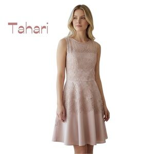 Tahari Sheer Pink Silver Embroidered Dress Size 6